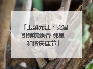 玉溪元江：党建引领粽飘香 邻里和谐庆佳节