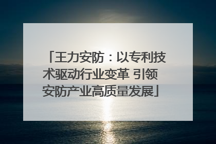 王力安防：以专利技术驱动行业变革 引领安防产业高质量发展