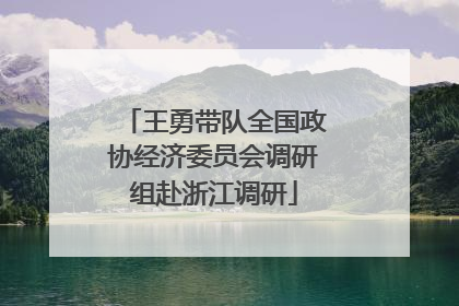 王勇带队全国政协经济委员会调研组赴浙江调研