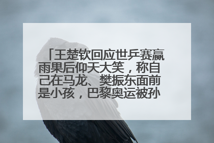 王楚钦回应世乒赛赢雨果后仰天大笑，称自己在马龙、樊振东面前是小孩，巴黎奥运被孙颖莎带着打