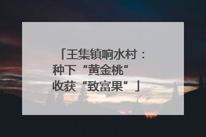 王集镇响水村：种下“黄金桃” 收获“致富果”