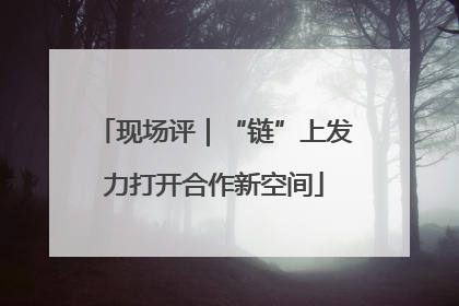 现场评｜“链”上发力打开合作新空间