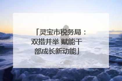灵宝市税务局：双措并举 赋能干部成长新动能