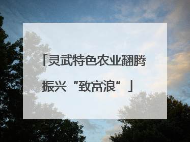 灵武特色农业翻腾振兴“致富浪”