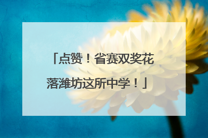 点赞！省赛双奖花落潍坊这所中学！