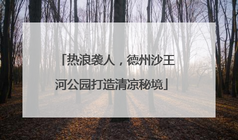 热浪袭人，德州沙王河公园打造清凉秘境