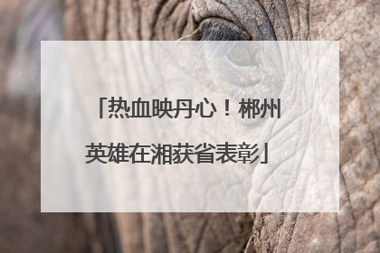 热血映丹心！郴州英雄在湘获省表彰