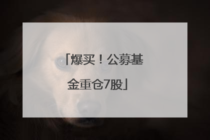 爆买！公募基金重仓7股