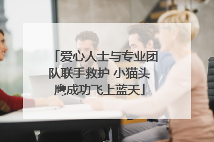 爱心人士与专业团队联手救护 小猫头鹰成功飞上蓝天