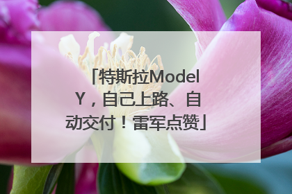 特斯拉Model Y，自己上路、自动交付！雷军点赞