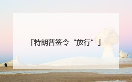 特朗普签令“放行”