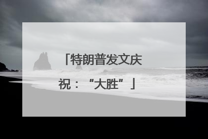 特朗普发文庆祝：“大胜”