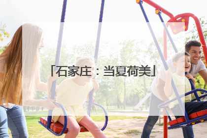 石家庄：当夏荷美