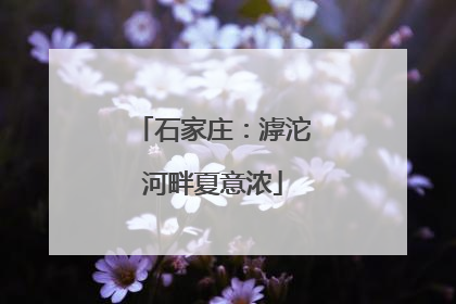 石家庄：滹沱河畔夏意浓