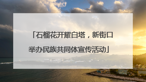 石榴花开耀白塔，新街口举办民族共同体宣传活动