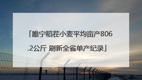 睢宁稻茬小麦平均亩产806.2公斤 刷新全省单产纪录