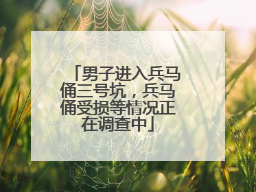 男子进入兵马俑三号坑，兵马俑受损等情况正在调查中