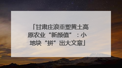 甘肃庄浪重塑黄土高原农业“新颜值”：小地块“拼”出大文章