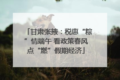 甘肃张掖：税惠“粽”情端午 看政策春风点“燃”假期经济