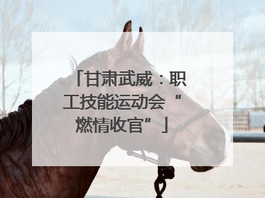 甘肃武威：职工技能运动会“燃情收官”