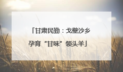 甘肃民勤：戈壁沙乡孕育“甘味”领头羊