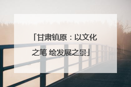 甘肃镇原：以文化之笔 绘发展之景