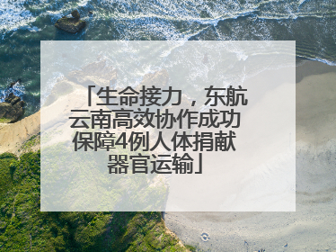 生命接力，东航云南高效协作成功保障4例人体捐献器官运输