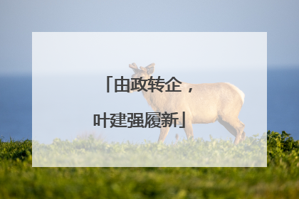 由政转企，叶建强履新
