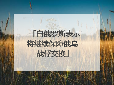 白俄罗斯表示将继续保障俄乌战俘交换