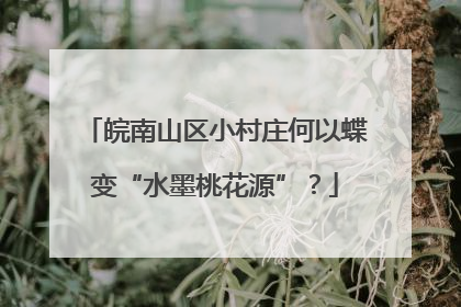 皖南山区小村庄何以蝶变“水墨桃花源”？