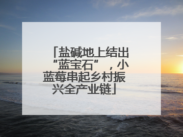 盐碱地上结出“蓝宝石”，小蓝莓串起乡村振兴全产业链