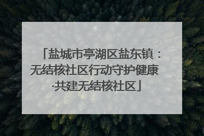 盐城市亭湖区盐东镇：无结核社区行动守护健康 ·共建无结核社区