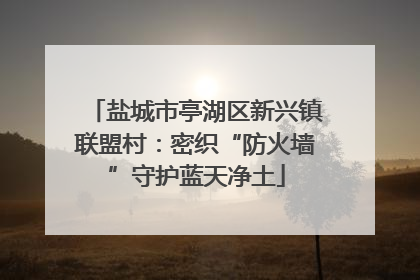 盐城市亭湖区新兴镇联盟村：密织“防火墙”守护蓝天净土