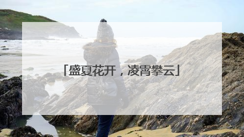 盛夏花开，凌霄攀云