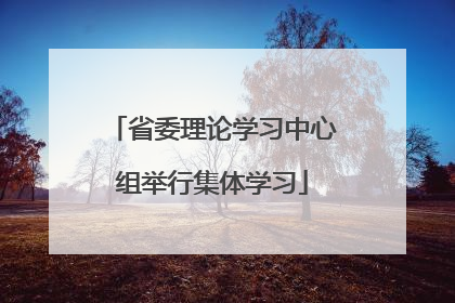 省委理论学习中心组举行集体学习
