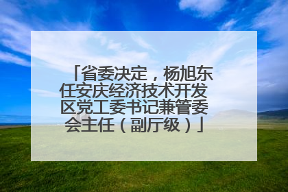 省委决定，杨旭东任安庆经济技术开发区党工委书记兼管委会主任（副厅级）