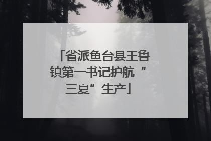 省派鱼台县王鲁镇第一书记护航“三夏”生产