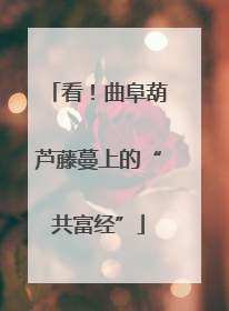 看！曲阜葫芦藤蔓上的“共富经”