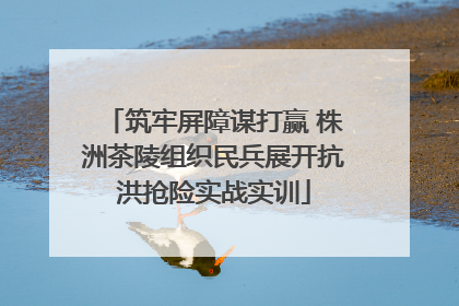 筑牢屏障谋打赢 株洲茶陵组织民兵展开抗洪抢险实战实训