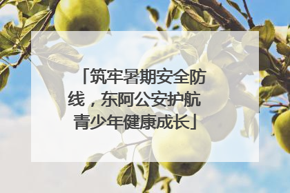 筑牢暑期安全防线，东阿公安护航青少年健康成长