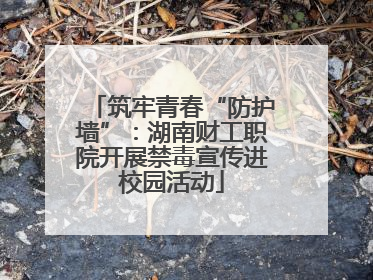 筑牢青春“防护墙”：湖南财工职院开展禁毒宣传进校园活动
