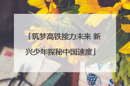 筑梦高铁接力未来 新兴少年探秘中国速度