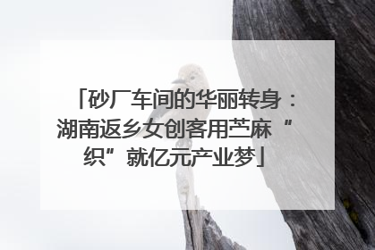砂厂车间的华丽转身：湖南返乡女创客用苎麻“织”就亿元产业梦