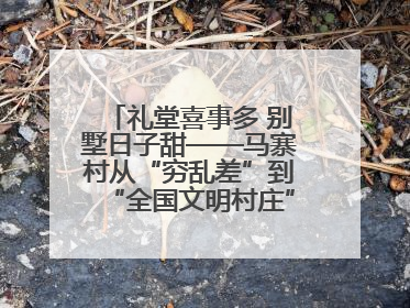 礼堂喜事多 别墅日子甜——马寨村从“穷乱差”到“全国文明村庄”的蝶变之路