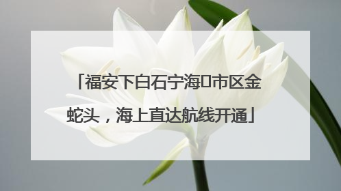 福安下白石宁海⇆市区金蛇头，海上直达航线开通