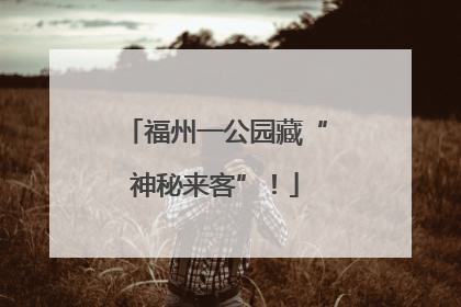 福州一公园藏“神秘来客”！
