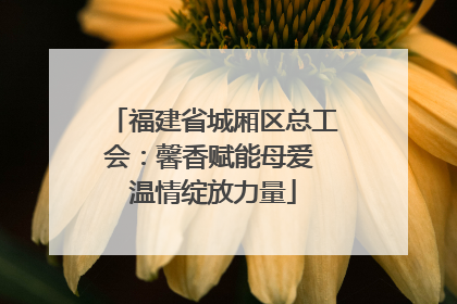 福建省城厢区总工会：馨香赋能母爱 温情绽放力量