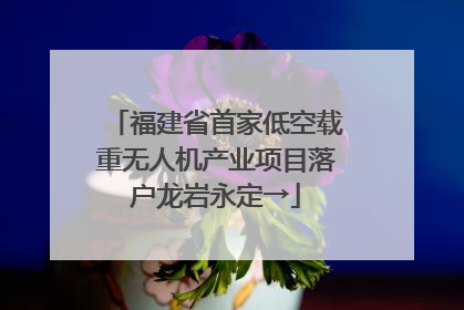 福建省首家低空载重无人机产业项目落户龙岩永定→