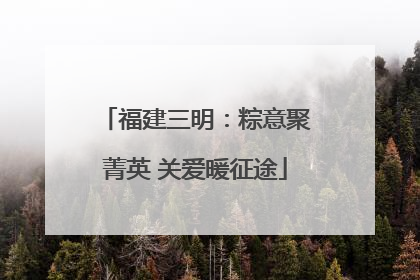 福建三明：粽意聚菁英 关爱暖征途