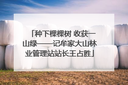 种下棵棵树 收获一山绿——记牟家大山林业管理站站长王占胜